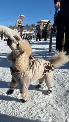 a small dog dressed up like an elephant in the snow with it's mouth open