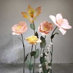 three pink and yellow flowers sitting in front of a white wall