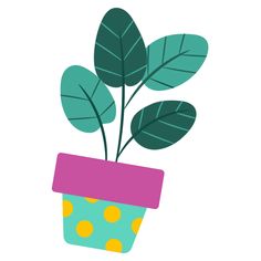 a potted plant with green leaves and polka dots on the bottom, sitting in front of a white background