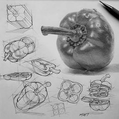 a pencil drawing of an apple and some other things to draw on the sheet paper