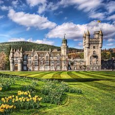 an old castle with tall towers surrounded by green grass and yellow daffodils