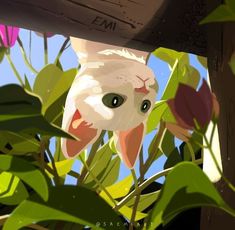 a white cat with green eyes peeking out from behind some leaves