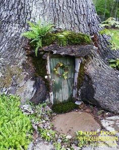 an old door in the side of a tree with moss growing on it's sides