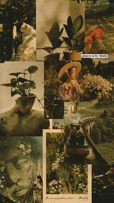 a collage of photos with flowers and plants