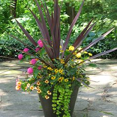 a potted plant with flowers in it sitting on a stone walkway surrounded by greenery