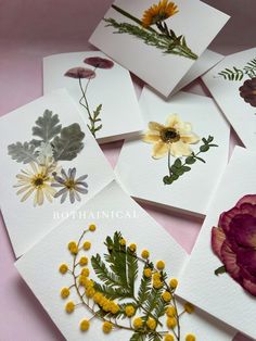 six cards with pressed flowers on them