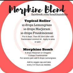 Morphine Bomb Essential Oil Roller Bottle Recipes, Doterra Essential Oils Recipes, Essential Oils For Pain, Essential Oil Diffuser Blends Recipes, Essential Oil Remedy, Essential Oils Guide, Ginger Essential Oil, Essential Oils Herbs, Essential Oils Health