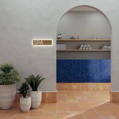 two potted plants are sitting in front of a spa counter with blue tiles on the wall