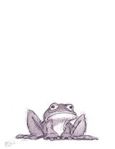 a drawing of a frog sitting on the ground