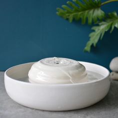 a white bowl filled with cream sitting on top of a table next to a plant