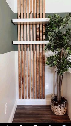 a potted plant sitting on top of a wooden floor next to a wall mounted shelf