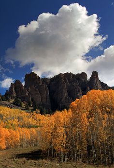 the mountains are full of trees with yellow leaves on them and white clouds in the sky