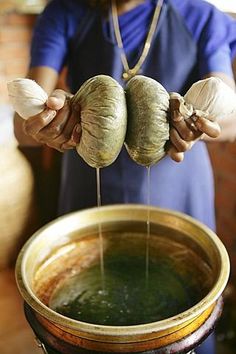 Massage technique using herb pouches, Somatheeram Ayurveda Resort, traditional Ayurvedic medicine spa resort in Trivandrum, Kerala, India, Asia Ayurveda Spa, Ayurveda Massage, Yoga Relaxation, Ayurvedic Massage, Vata Dosha, Massage Business, Food Poisoning, Ayurvedic Herbs