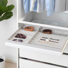 an open drawer with various items in it and a potted plant next to it