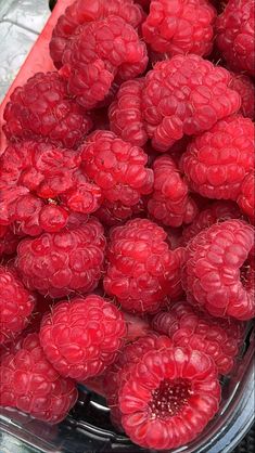 fresh raspberries in a bowl ready to be sold