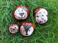 four pieces of fruit with faces painted on them sitting in the middle of some grass