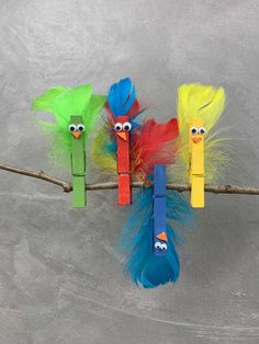 three colorful feathers on a branch with one bird sticking out of it's mouth