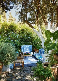 an outdoor seating area with potted plants and trees