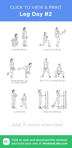 a poster with instructions to use the leg day 2 exercise program for people in their home gym