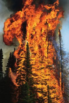 a large fire is coming out of the side of a mountain with trees on it