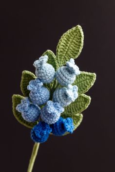 Crochet Blueberry Branch pattern|hookok Blueberry Crochet, Crochet Organization, Blueberry Branch, 3d Crochet Flower, Nature Crochet, Crochet Blueberry, Crochet Logo, 3d Crochet, Crochet Plants