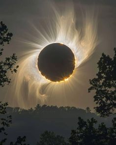 the sun eclipse is seen through clouds over trees