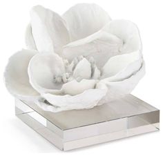 a large white flower sitting on top of a metal stand in front of a white background