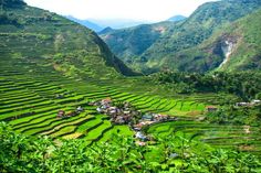 an aerial view of rice fields in the mountains