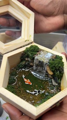 two hands holding a small wooden box with a fish in it and moss growing inside