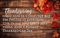 a thanksgiving message with autumn leaves on a wooden background and the words, thanksgiving comes once in a year, but may the feeling of gratitude live in our hearts all year round