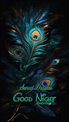 a poster with peacock feathers and the words sweet dreams, good night written on it