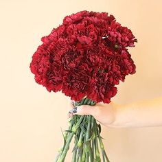 a person holding a bunch of red flowers in their left hand and the other hand on top of it