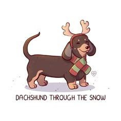 a dog with antlers on its head and scarf around it's neck that says, dachshund through the snow