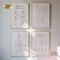 four framed art pieces on the wall displaying different types of body shapes and their meanings