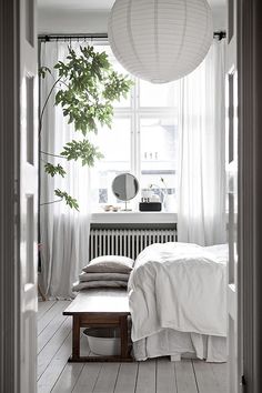 an open door leading to a bedroom with white walls and wood flooring, along with a plant in the corner