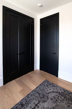 two black closets in an empty room with wood flooring and rug on the floor