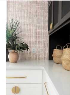 a kitchen counter with baskets on it and a plant in the corner next to it