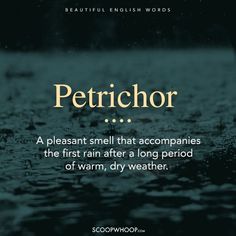 a quote from the book petrichor by scott woodhouse on raindrops