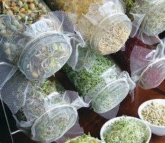 several bags filled with different types of vegetables on top of a wooden table next to bowls