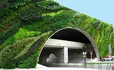 a car driving past a tunnel covered in green plants