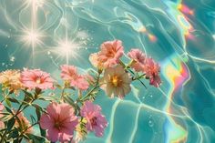 some pink flowers are in the water and sun is shining down on them, as well