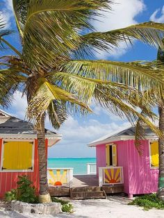 two colorful beach huts with palm trees in the foreground