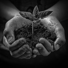 black and white photograph of two hands holding a plant with the word bio written on it