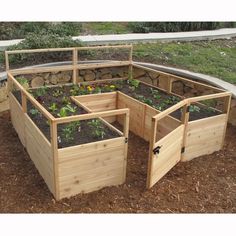 several wooden raised garden beds with plants growing in them