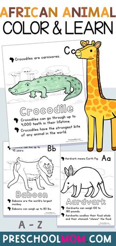 an animal coloring book for kids with the title, african animals color and learn crocodiles