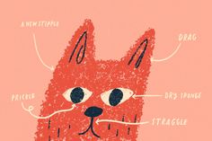 an illustrated drawing of a cat's face with words describing the different parts of it