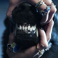 a person holding a dog's teeth with rings on it and wearing jewelry around their mouth