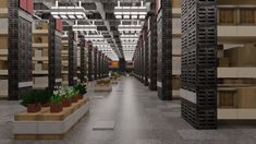 an empty room with lots of bookshelves and planters on the floor in front of them