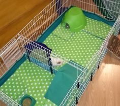 a dog in a cage on the floor next to a green ball and other items