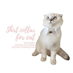 a white cat wearing a bow tie with the words shirt collar for cat on it